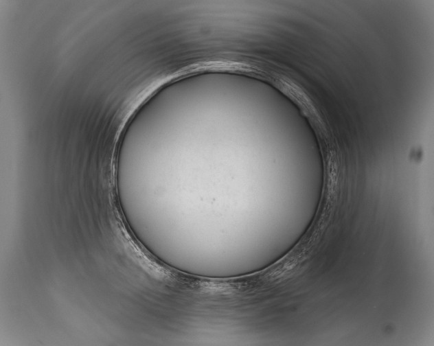 X0000115290852200911161632