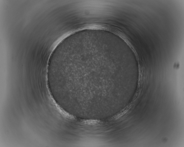 X0000115290853200911161632