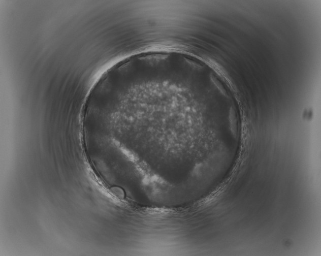 X0000115290854200911161632