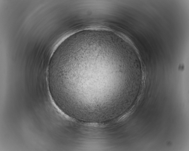 X0000115290855200911161632