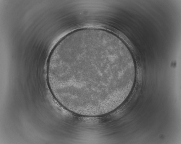 X0000115290856200911161632