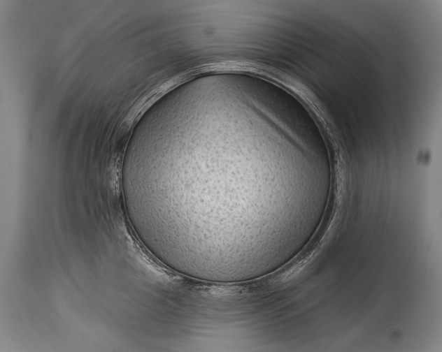 X0000115290857200911161632