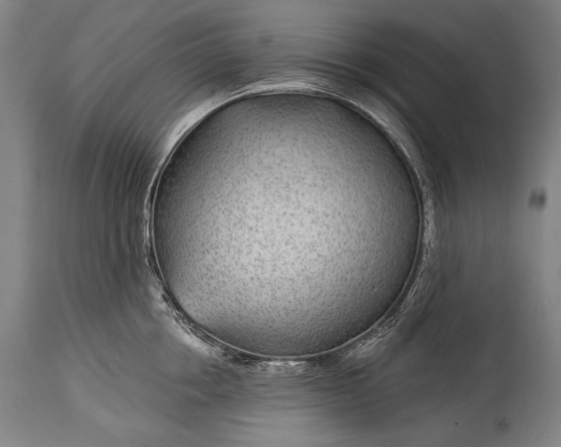 X0000115290858200911161632