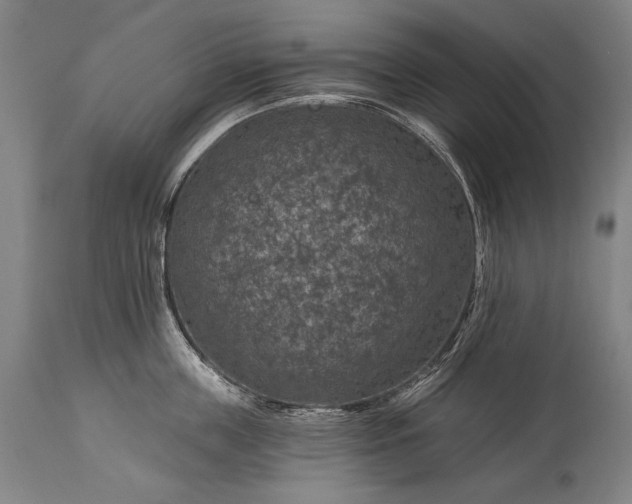 X0000115290859200911161632