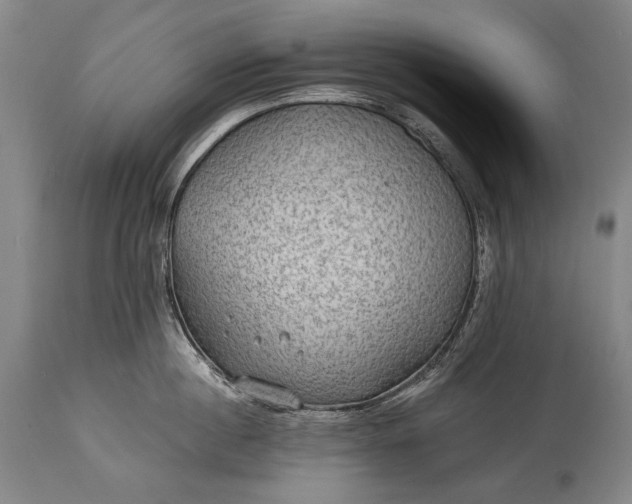 X0000115290860200911161632