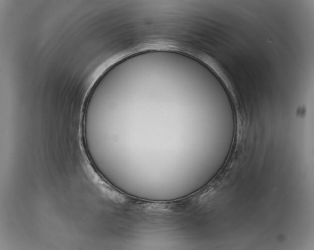 X0000115290861200911161632