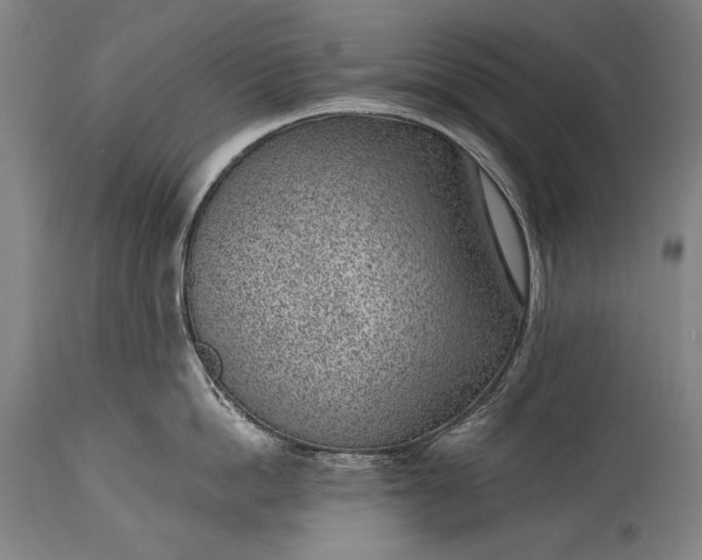 X0000115290862200911161632