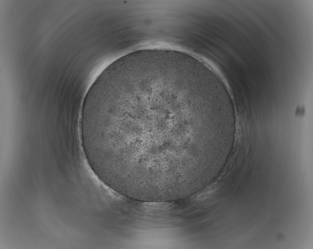 X0000115290863200911161632