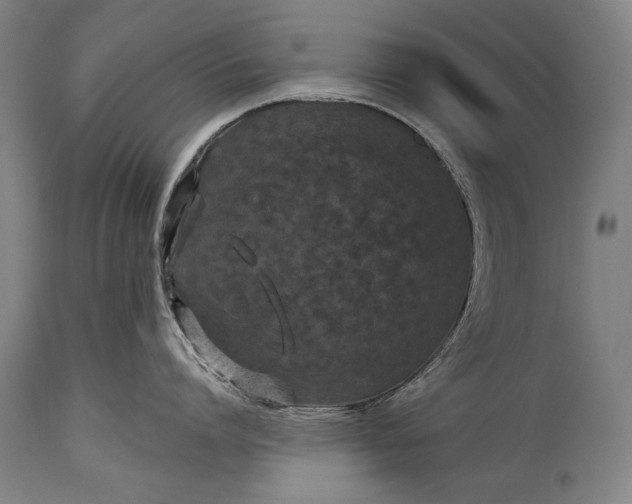 X0000115290864200911161632