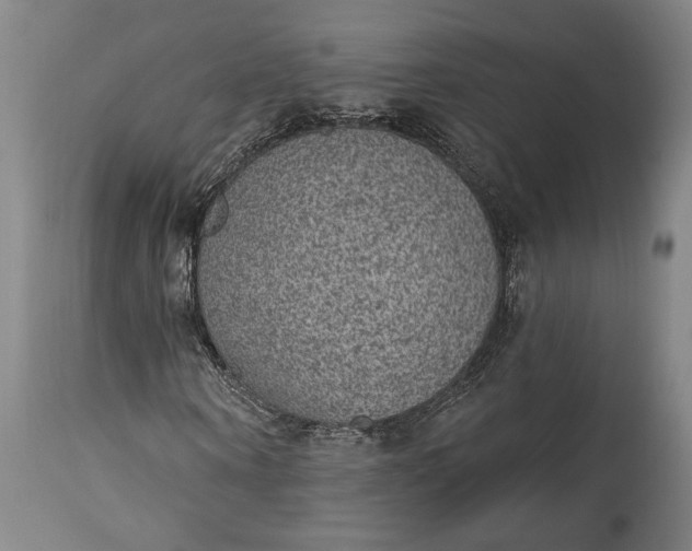 X0000115290866200911161632