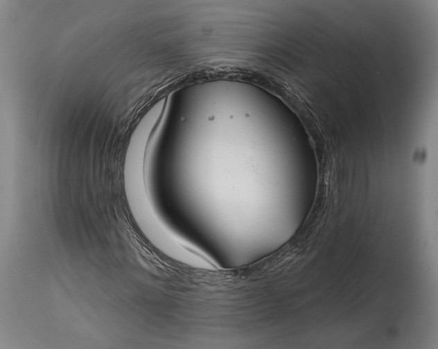 X0000115290868200911161632