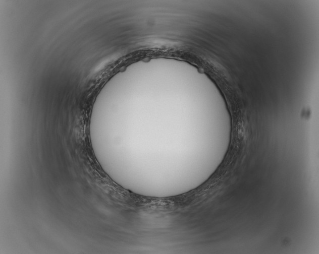 X0000115290869200911161632