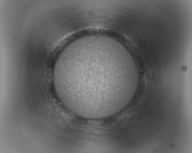 X0000115290870200911161632