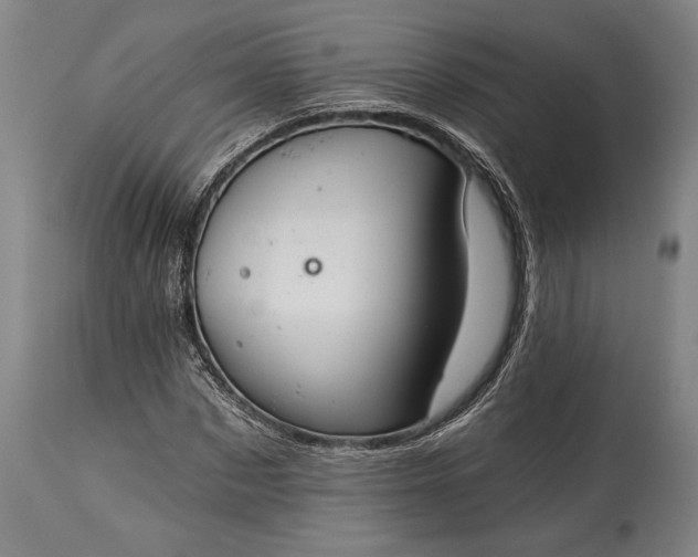 X0000115290873200911161632