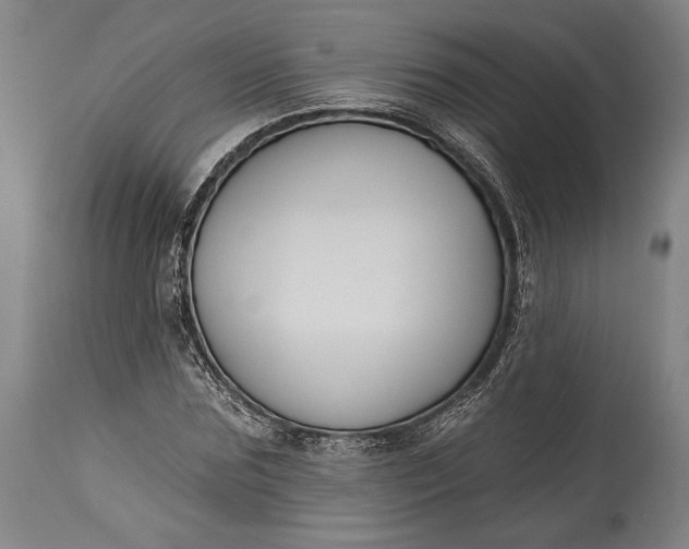 X0000115290875200911161632