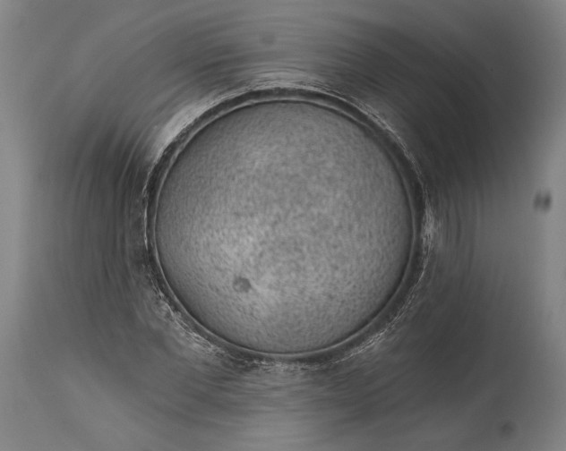 X0000115290877200911161632