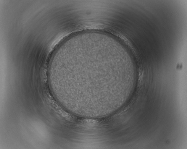 X0000115290878200911161632