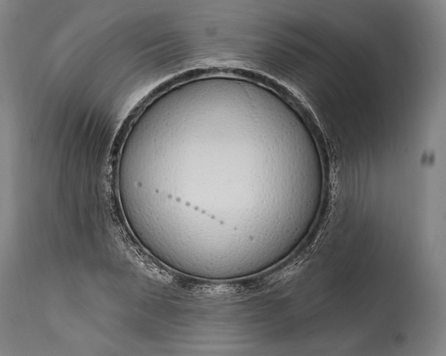 X0000115290879200911161632