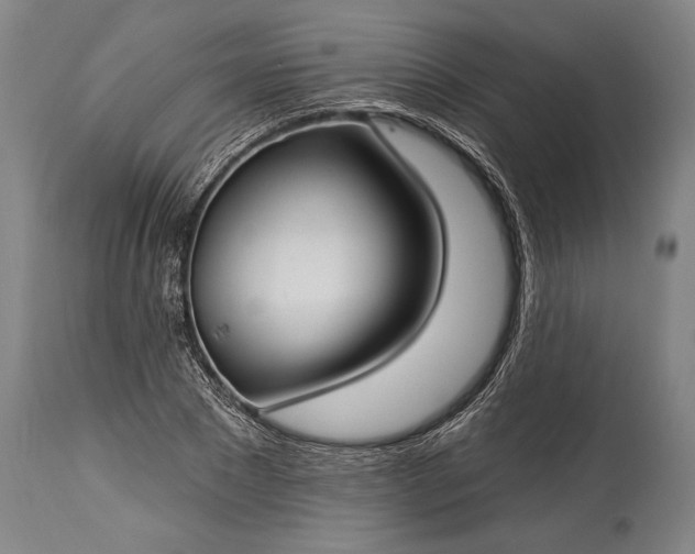 X0000115290881200911161632