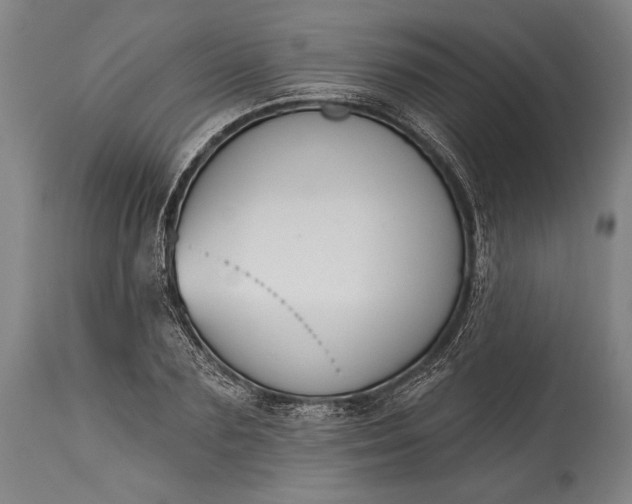 X0000115290883200911161631