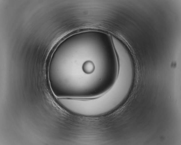 X0000115290884200911161631
