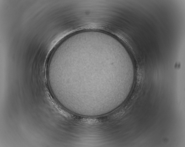 X0000115290886200911161631