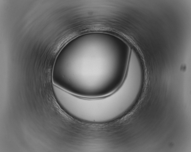 X0000115290889200911161631