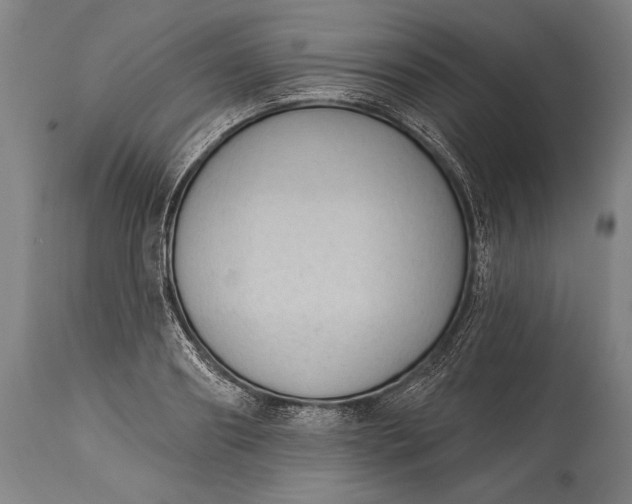 X0000115290890200911161631