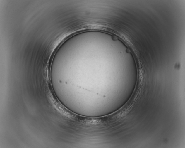 X0000115290891200911161631