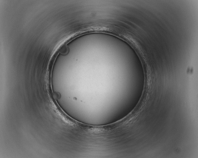 X0000115290894200911161631