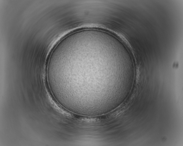 X0000115290895200911161631