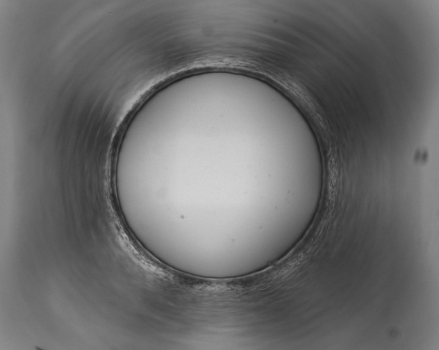 X0000115290896200911161631