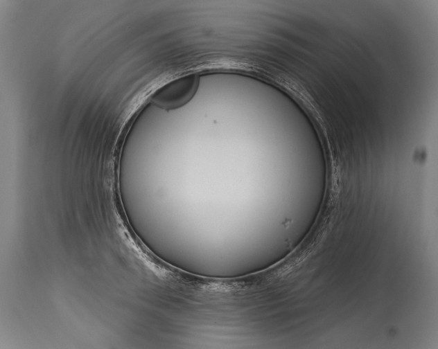 X0000115290898200911161631