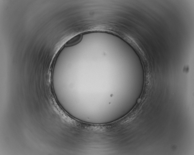 X0000115290900200911161631