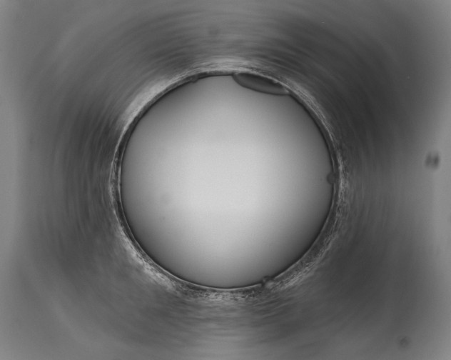 X0000115290901200911161631