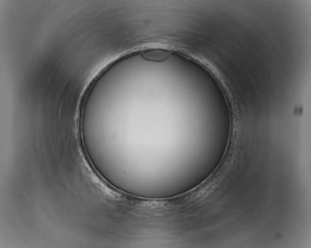 X0000115290902200911161631