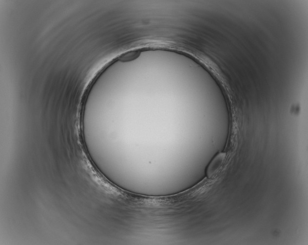 X0000115290904200911161631