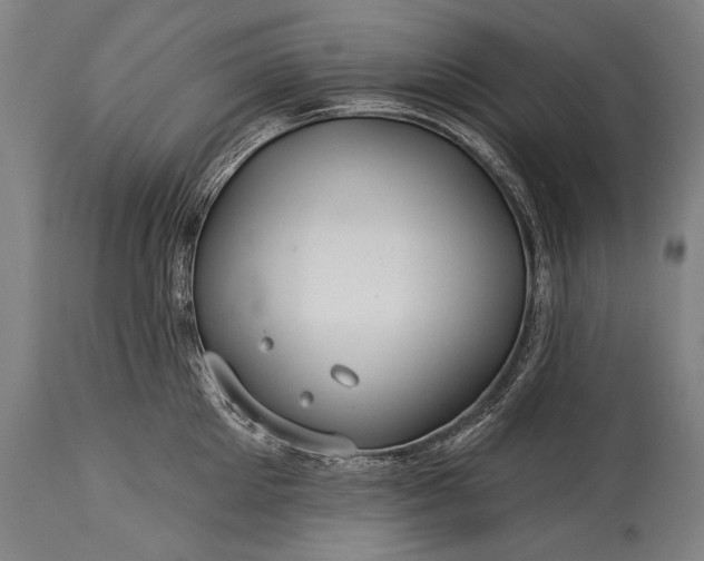X0000115290905200911161631