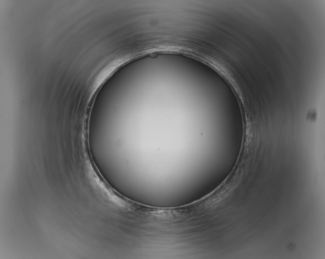 X0000115290906200911161631