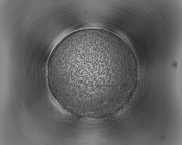 X0000115290907200911161631
