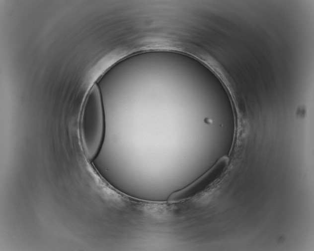 X0000115290909200911161631