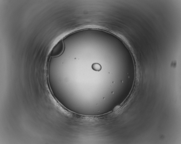X0000115290910200911161631