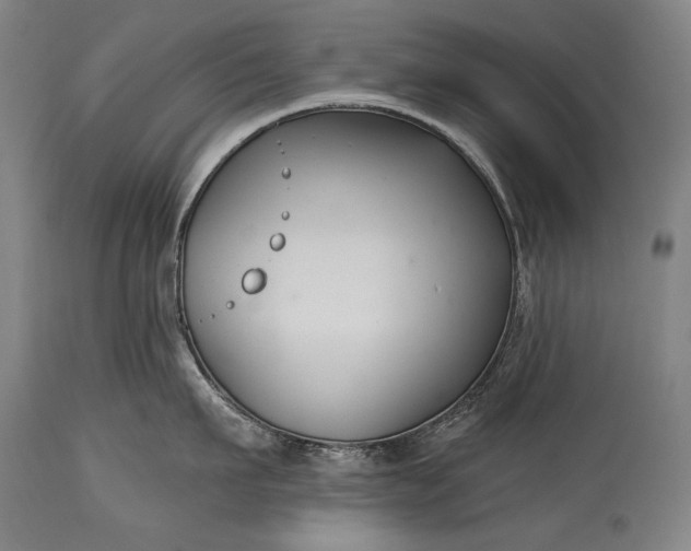 X0000115290911200911161631