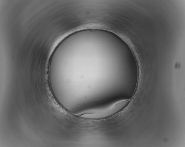 X0000115290912200911161631
