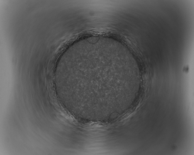 X0000115290913200911161630