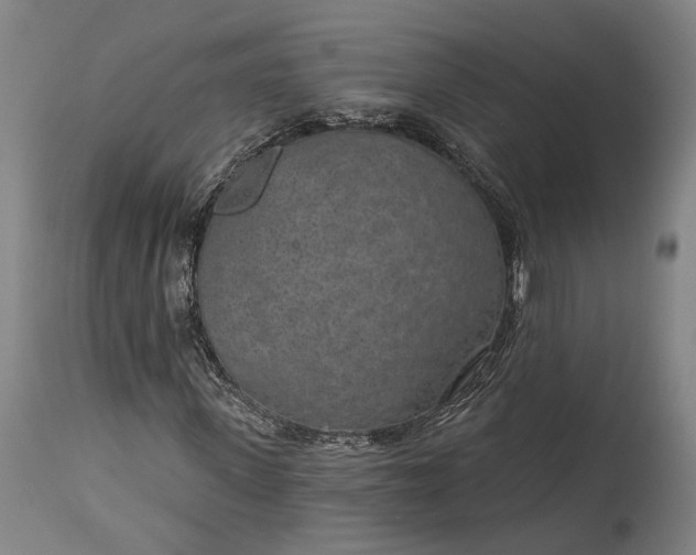 X0000115290915200911161630