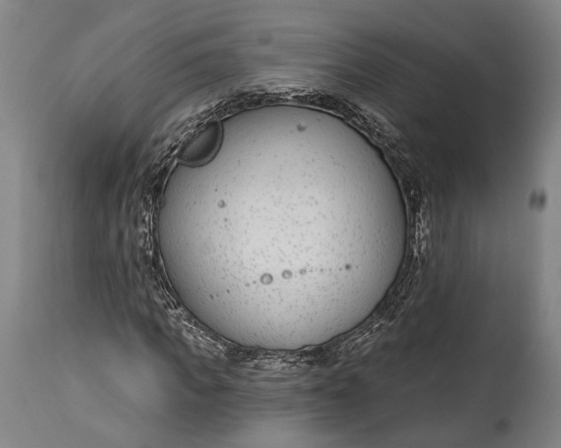X0000115290917200911161630