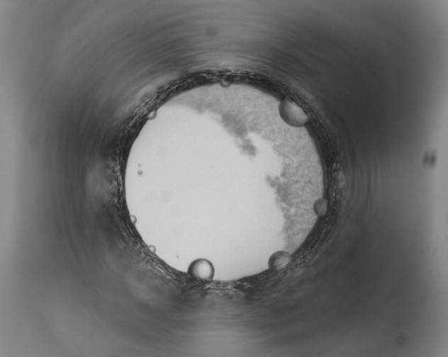 X0000115290918200911161630