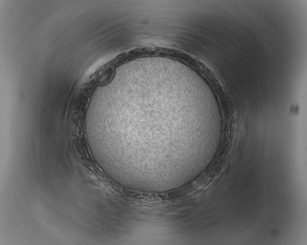 X0000115290919200911161630
