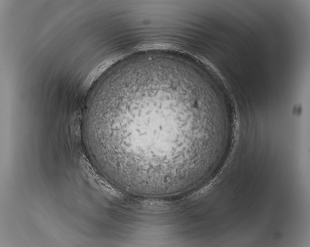 X0000115290921200911161630
